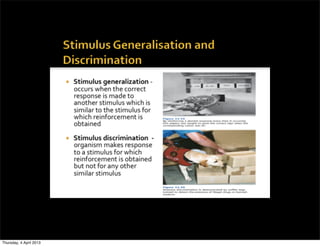 Thursday, 4 April 2013
 