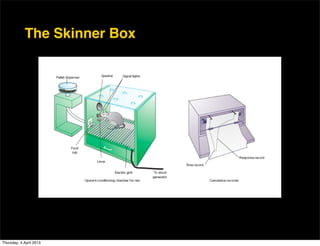 The Skinner Box




Thursday, 4 April 2013
 