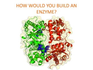 HOW WOULD YOU BUILD AN
ENZYME?
 