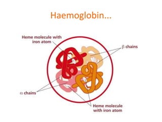 Haemoglobin...
 