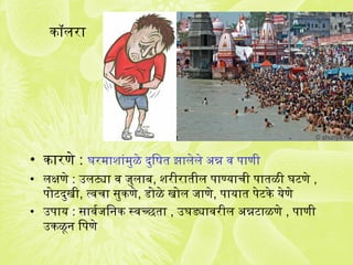 कॉलरा
• कारणे : घरमाशांजमुळे दुिषत झालेले अन्न व पाणी
• लक्षणे : उलट्या व जिुलाब, शरीरातील पाण्याची पातळी घटणे ,
पोटदुखी, त्वचा सुकणे, डोळे खोल जिाणे, पायात पेटके येणे
• उपाय : सावर्कजििनक स्वच्छता , उघड्यावरील अन्नटाळणे , पाणी
उकळून िपणे
 