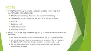 Natural Selection Examples Rabbit Lesson 8 - Natural Selection 3 in detail.pptx