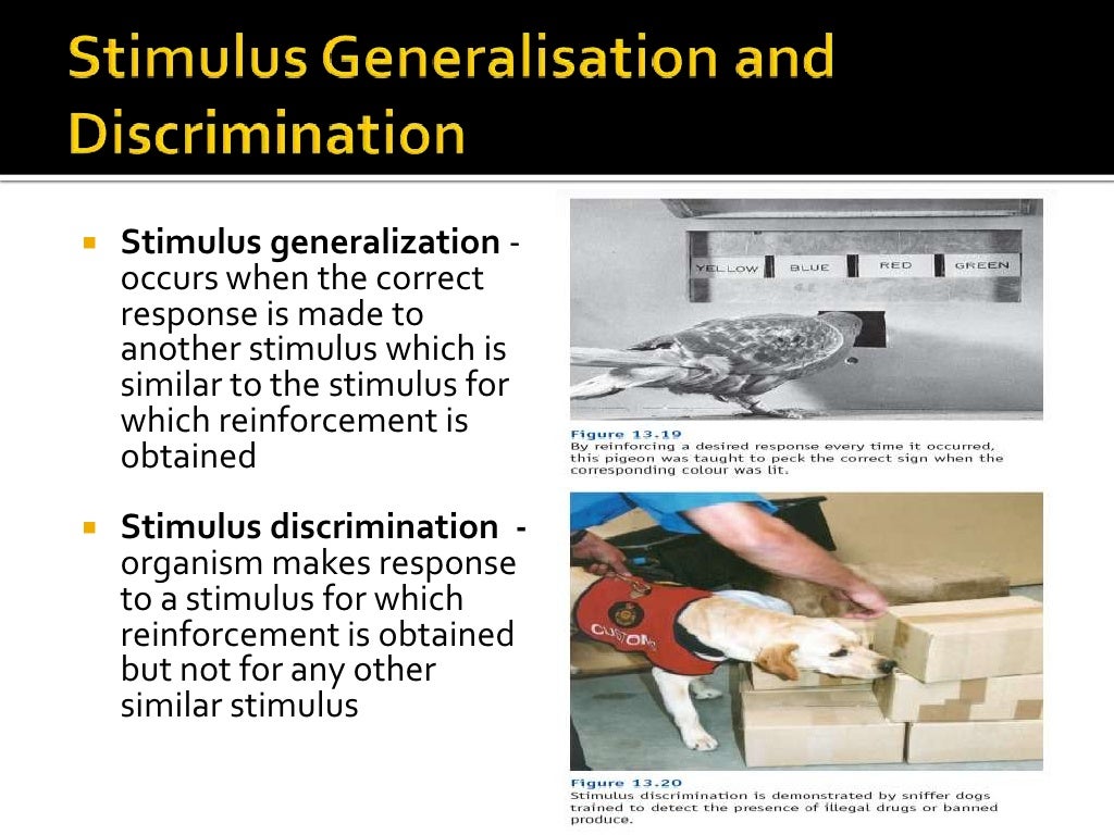 Lesson 8 operant conditioning