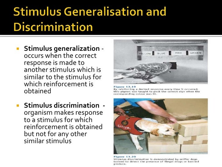 Lesson 8 operant conditioning