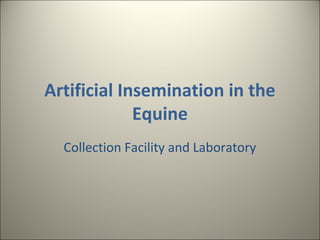 Artificial Insemination in the
             Equine
  Collection Facility and Laboratory
 