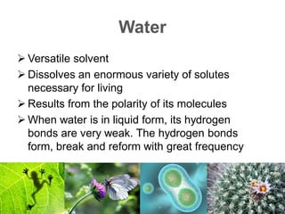 Water
 Versatile solvent
 Dissolves an enormous variety of solutes
necessary for living
 Results from the polarity of its molecules
 When water is in liquid form, its hydrogen
bonds are very weak. The hydrogen bonds
form, break and reform with great frequency
 
