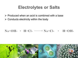 Electrolytes or Salts
 Produced when an acid is combined with a base
 Conducts electricity within the body
Na+OH- + H+Cl- Na+Cl- + H+OH-
 