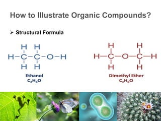 How to Illustrate Organic Compounds?
 Structural Formula
 
