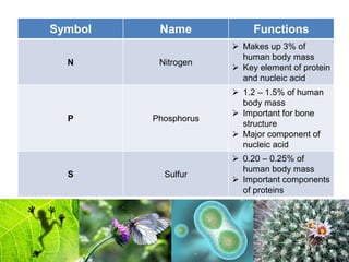 Symbol Name Functions
N Nitrogen
 Makes up 3% of
human body mass
 Key element of protein
and nucleic acid
P Phosphorus
 1.2 – 1.5% of human
body mass
 Important for bone
structure
 Major component of
nucleic acid
S Sulfur
 0.20 – 0.25% of
human body mass
 Important components
of proteins
 
