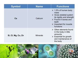 Symbol Name Functions
Ca Calcium
 1.5% of human body
mass
 Gives skeletal system
its rigidity and strength
 Found in bones and
teeth
 Important for muscle
functions
Si, Cl, Mg, Cu, Zn Minerals
 Other elements found
in the body in little
amounts
 Essential for growth
and maintenance of
the body
 