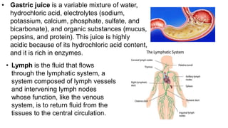 • Gastric juice is a variable mixture of water,
hydrochloric acid, electrolytes (sodium,
potassium, calcium, phosphate, sulfate, and
bicarbonate), and organic substances (mucus,
pepsins, and protein). This juice is highly
acidic because of its hydrochloric acid content,
and it is rich in enzymes.
• Lymph is the fluid that flows
through the lymphatic system, a
system composed of lymph vessels
and intervening lymph nodes
whose function, like the venous
system, is to return fluid from the
tissues to the central circulation.
 