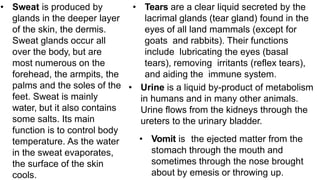 • Sweat is produced by
glands in the deeper layer
of the skin, the dermis.
Sweat glands occur all
over the body, but are
most numerous on the
forehead, the armpits, the
palms and the soles of the
feet. Sweat is mainly
water, but it also contains
some salts. Its main
function is to control body
temperature. As the water
in the sweat evaporates,
the surface of the skin
cools.
• Tears are a clear liquid secreted by the
lacrimal glands (tear gland) found in the
eyes of all land mammals (except for
goats and rabbits). Their functions
include lubricating the eyes (basal
tears), removing irritants (reflex tears),
and aiding the immune system.
• Urine is a liquid by-product of metabolism
in humans and in many other animals.
Urine flows from the kidneys through the
ureters to the urinary bladder.
• Vomit is the ejected matter from the
stomach through the mouth and
sometimes through the nose brought
about by emesis or throwing up.
 
