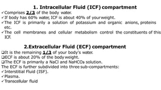 1. Intracellular Fluid (ICF) compartment
Comprises 2/3 of the body water
.
If body has 60% water
, ICF is about 40% of yourweight.
The ICF is primarily a solution of potassium and organic anions, proteins
etc.
The cell membranes and cellular metabolism control the constituents of this
ICF
.
2.Extracellular Fluid (ECF) compartment
It is the remaining 1/3 of your body's water
.
ECF is about 20% of the body weight.
The ECF is primarily a NaCl and NaHCO3 solution.
The ECF is further subdivided into three sub-compartments:
Interstitial Fluid (ISF).
Plasma.
Transcellular fluid
 