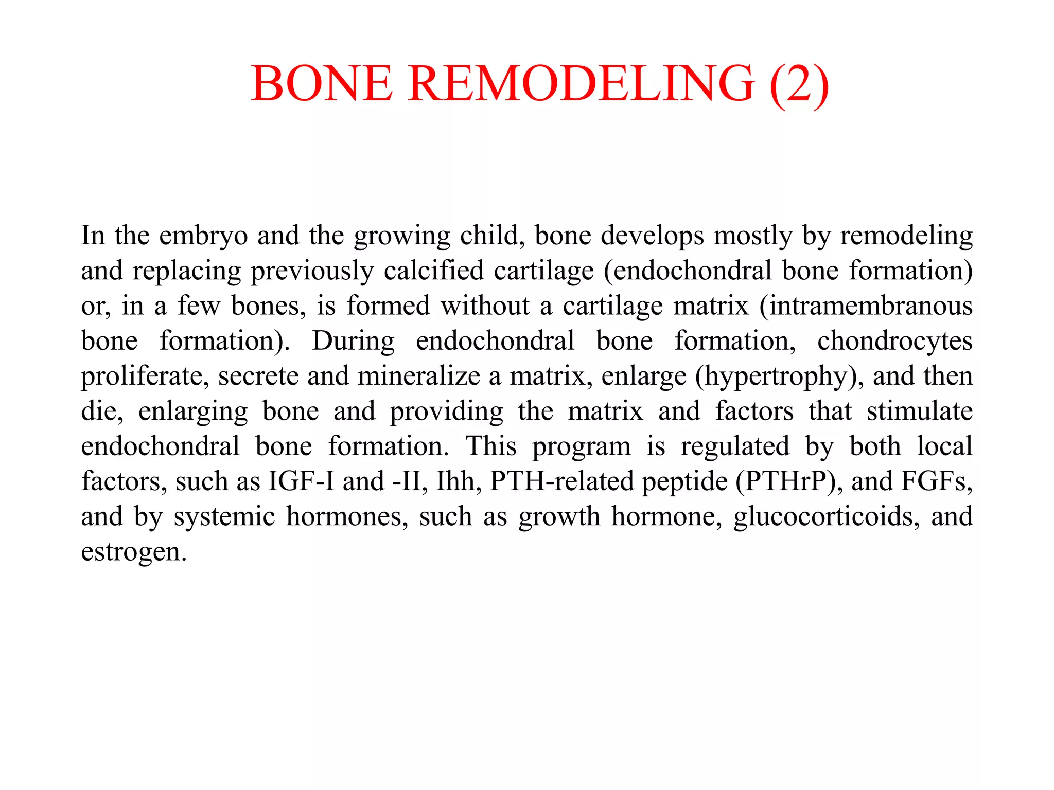 In the embryo and the growing child, bone develops mostly by remodeling
and replacing previously calcified cartilage (endochondral bone formation)
or, in a few bones, is formed without a cartilage matrix (intramembranous
bone formation). During endochondral bone formation, chondrocytes
proliferate, secrete and mineralize a matrix, enlarge (hypertrophy), and then
die, enlarging bone and providing the matrix and factors that stimulate
endochondral bone formation. This program is regulated by both local
factors, such as IGF-I and -II, Ihh, PTH-related peptide (PTHrP), and FGFs,
and by systemic hormones, such as growth hormone, glucocorticoids, and
estrogen.
BONE REMODELING (2)
 
