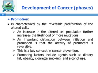 Development of Cancer (phases)
 Promotion:
 Is characterized by the reversible proliferation of the
altered cells.
 An increase in the altered cell population further
increases the likelihood of more mutations.
 An important distinction between initiation and
promotion is that the activity of promoters is
reversible.
 This is a key concept in cancer prevention.
 Promoting factors include agents such as dietary
fat, obesity, cigarette smoking, and alcohol use.
21
 