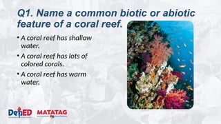 Q1. Name a common biotic or abiotic
feature of a coral reef.
• A coral reef has shallow
water.
• A coral reef has lots of
colored corals.
• A coral reef has warm
water.
 