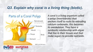 Q3. Explain why coral is a living thing (biotic).
A coral is a living organism called
a polyp (invertebrate) that
anchors itself to rocks by extruding
calcium carbonate, this becomes
its exoskeleton. They have a
symbiotic relationship with algae
that live in their tissues and that
make sugars to provide nutrients.
 