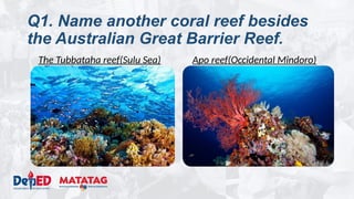 Q1. Name another coral reef besides
the Australian Great Barrier Reef.
The Tubbataha reef(Sulu Sea) Apo reef(Occidental Mindoro)
 