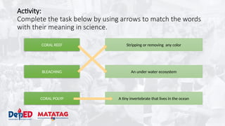 Activity:
Complete the task below by using arrows to match the words
with their meaning in science.
CORAL REEF
BLEACHING
CORAL POLYP
Stripping or removing any color
A tiny invertebrate that lives in the ocean
An under water ecosystem
 