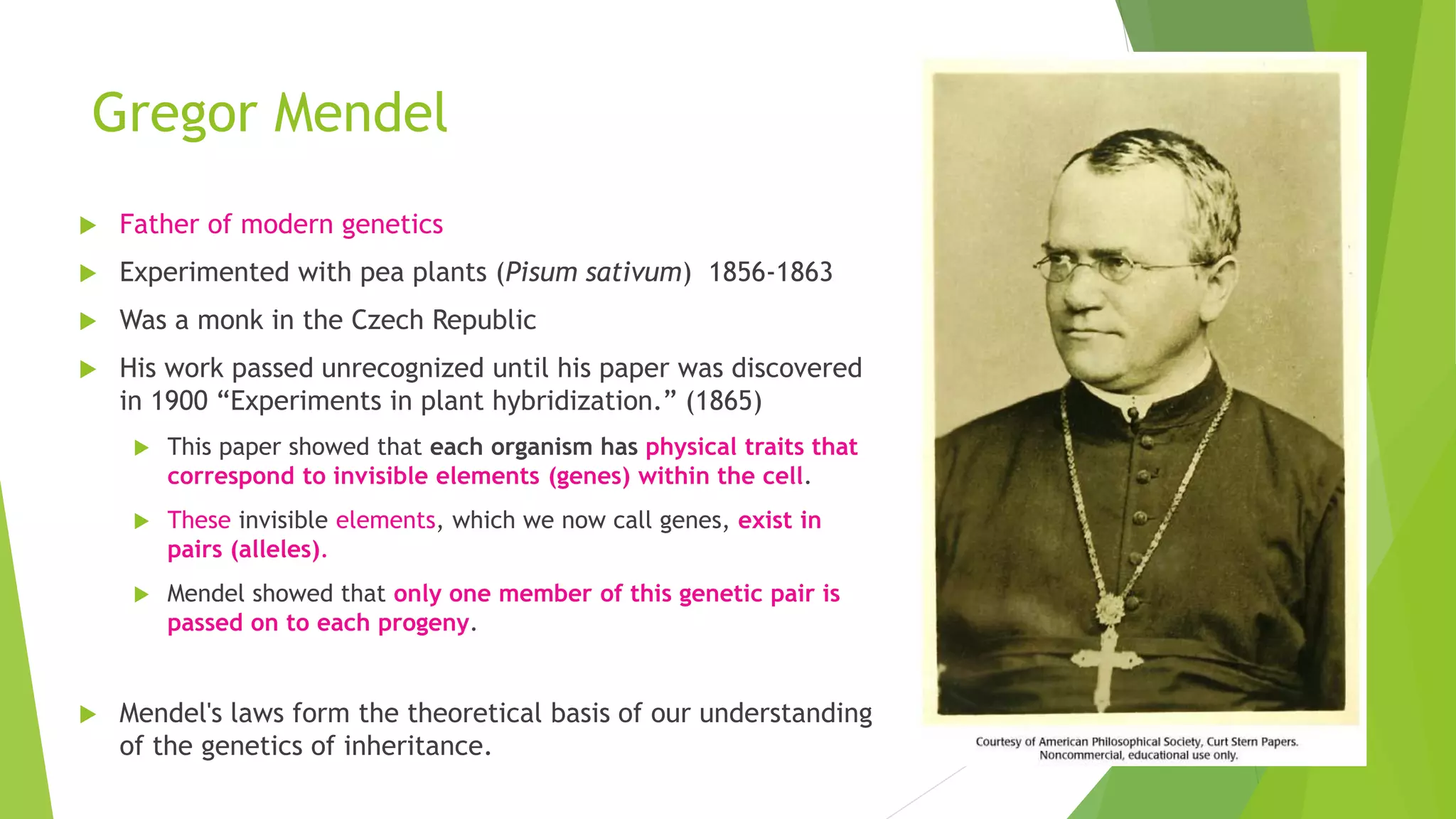 Gregor Mendel
 Father of modern genetics
 Experimented with pea plants (Pisum sativum) 1856-1863
 Was a monk in the Czech Republic
 His work passed unrecognized until his paper was discovered
in 1900 “Experiments in plant hybridization.” (1865)
 This paper showed that each organism has physical traits that
correspond to invisible elements (genes) within the cell.
 These invisible elements, which we now call genes, exist in
pairs (alleles).
 Mendel showed that only one member of this genetic pair is
passed on to each progeny.
 Mendel's laws form the theoretical basis of our understanding
of the genetics of inheritance.
 