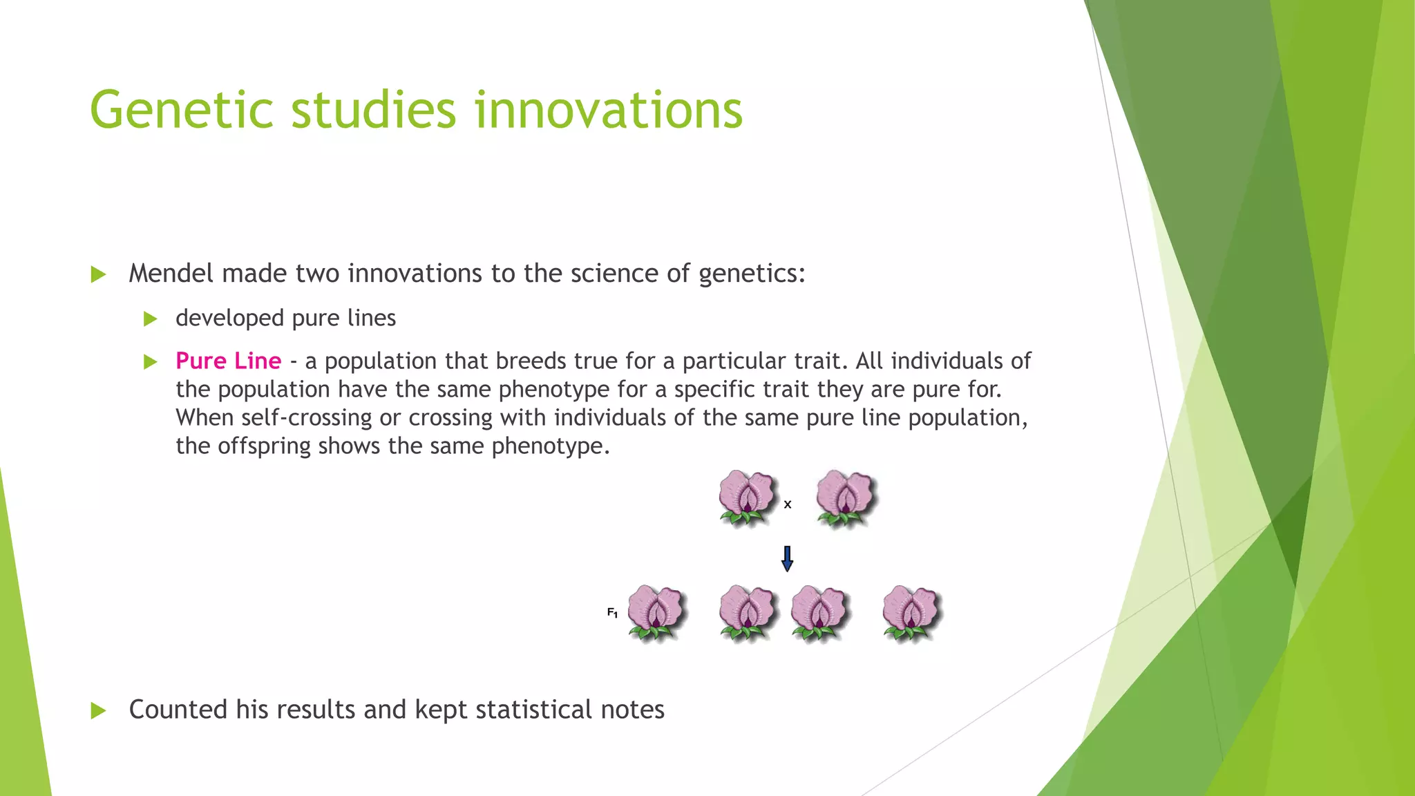Genetic studies innovations
 Mendel made two innovations to the science of genetics:
 developed pure lines
 Pure Line - a population that breeds true for a particular trait. All individuals of
the population have the same phenotype for a specific trait they are pure for.
When self-crossing or crossing with individuals of the same pure line population,
the offspring shows the same phenotype.
 Counted his results and kept statistical notes
 