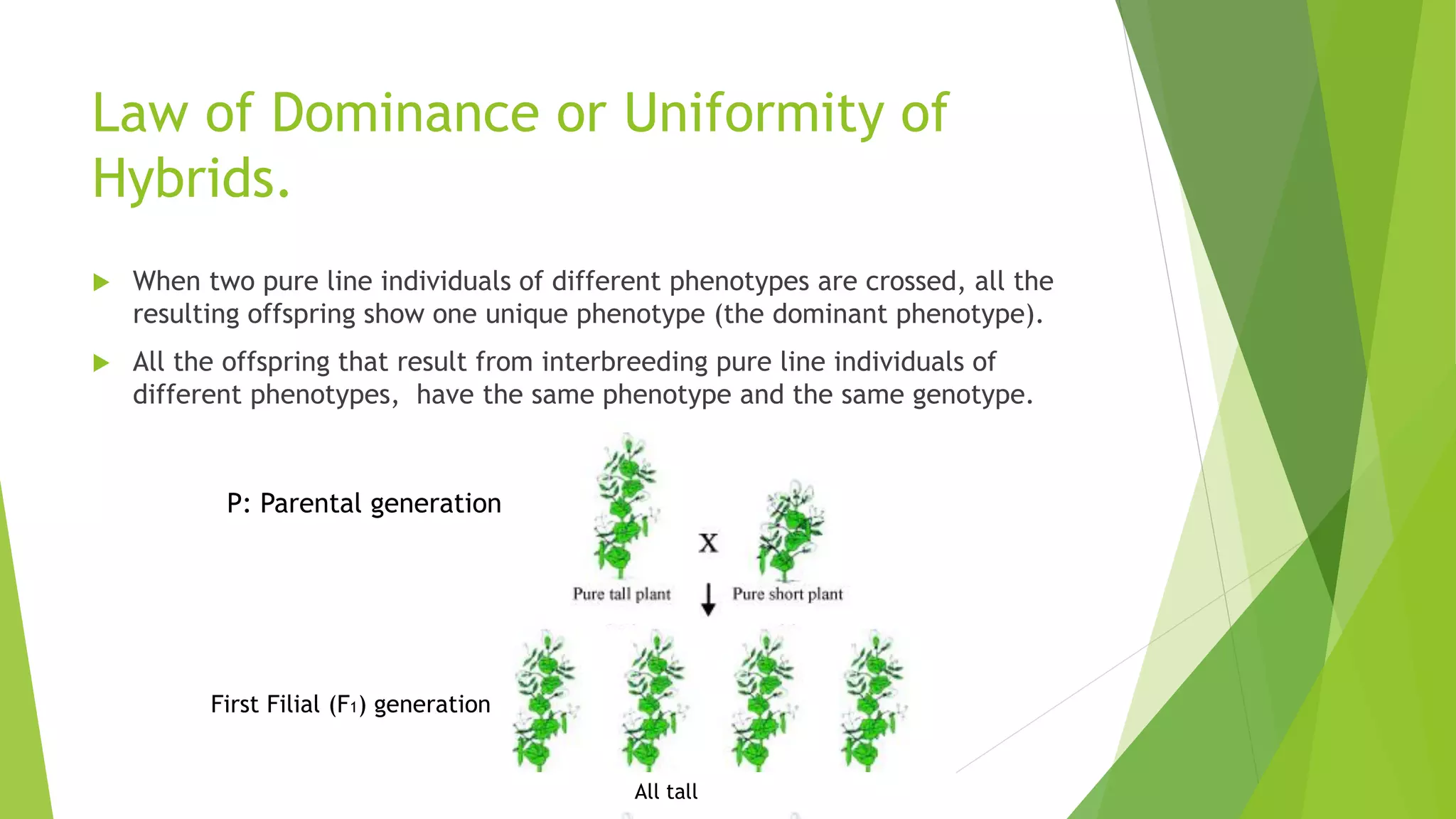 Law of Dominance or Uniformity of
Hybrids.
 When two pure line individuals of different phenotypes are crossed, all the
resulting offspring show one unique phenotype (the dominant phenotype).
 All the offspring that result from interbreeding pure line individuals of
different phenotypes, have the same phenotype and the same genotype.
All tall
First Filial (F1) generation
P: Parental generation
 