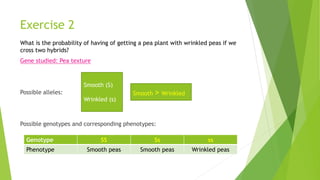 Exercise 2
What is the probability of having of getting a pea plant with wrinkled peas if we
cross two hybrids?
Gene studied: Pea texture
Possible alleles:
Possible genotypes and corresponding phenotypes:
Smooth (S)
Wrinkled (s)
Smooth > Wrinkled
Genotype SS Ss ss
Phenotype Smooth peas Smooth peas Wrinkled peas
 