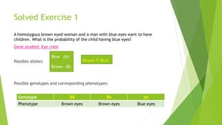 Solved Exercise 1 
A homozygous brown eyed woman and a man with blue eyes want to have 
children. What is the probability of the child having blue eyes? 
Gene studied: Eye color 
Possible alleles: 
Blue (b) 
Brown (B) 
Brown > Blue 
Possible genotypes and corresponding phenotypes: 
Genotype BB Bb bb 
Phenotype Brown eyes Brown eyes Blue eyes 
 