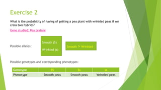 Exercise 2 
What is the probability of having of getting a pea plant with wrinkled peas if we 
cross two hybrids? 
Gene studied: Pea texture 
Possible alleles: 
Smooth (S) 
Wrinkled (s) 
Smooth > Wrinkled 
Possible genotypes and corresponding phenotypes: 
Genotype SS Ss ss 
Phenotype Smooth peas Smooth peas Wrinkled peas 
 