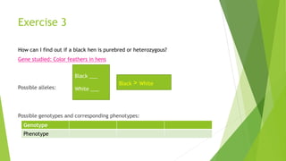 Exercise 3 
How can I find out if a black hen is purebred or heterozygous? 
Gene studied: Color feathers in hens 
Possible alleles: 
Black ___ 
White ___ 
Black > White 
Possible genotypes and corresponding phenotypes: 
Genotype 
Phenotype 
 