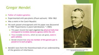 Gregor Mendel 
 Father of modern genetics 
 Experimented with pea plants (Pisum sativum) 1856-1863 
 Was a monk in the Czech Republic 
 His work passed unrecognized until his paper was discovered 
in 1900 “Experiments in plant hybridization.” (1865) 
 This paper showed that each organism has physical traits that 
correspond to invisible elements (genes) within the cell. 
 These invisible elements, which we now call genes, exist in 
pairs (alleles). 
 Mendel showed that only one member of this genetic pair is 
passed on to each progeny. 
 Mendel's laws form the theoretical basis of our understanding 
of the genetics of inheritance. 
 