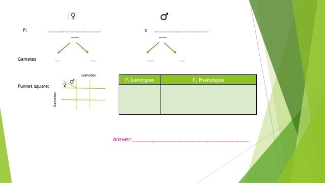 Lesson 8 mendelian inheritance