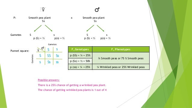 Lesson 8 mendelian inheritance