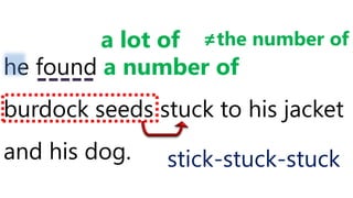 he found a number of
burdock seeds stuck to his jacket
and his dog.
a lot of ≠the number of
stick-stuck-stuck
 