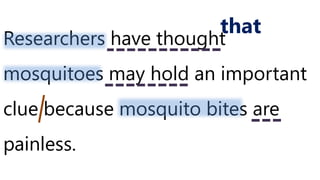 Researchers have thought
mosquitoes may hold an important
clue because mosquito bites are
painless.
that
 