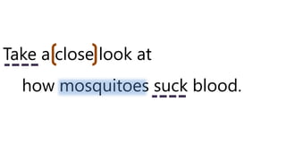 Take a close look at
how mosquitoes suck blood.
 