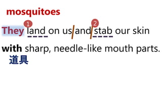 They land on us and stab our skin
with sharp, needle-like mouth parts.
道具
1 2
mosquitoes
 