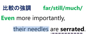 Even more importantly,
their needles are serrated.
比較の強調 far/still/much/
 