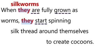 When they are fully grown as
worms, they start spinning
silk thread around themselves
to create cocoons.
silkworms
 