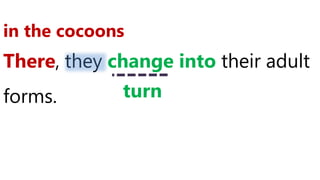 There, they change into their adult
forms.
in the cocoons
turn
 
