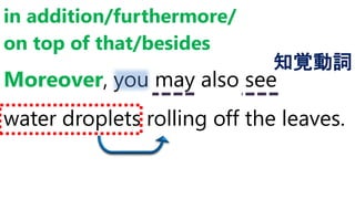 Moreover, you may also see
water droplets rolling off the leaves.
in addition/furthermore/
on top of that/besides
知覚動詞
 