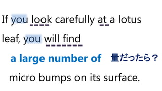 If you look carefully at a lotus
leaf, you will find
a large number of
micro bumps on its surface.
量だったら？
 