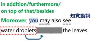 Moreover, you may also see
water droplets rolling off the leaves.
in addition/furthermore/
on top of that/besides
知覚動詞
 