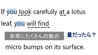 If you look carefully at a lotus
leaf, you will find
a large number of
micro bumps on its surface.
量だったら？非常にたくさんの数の
 