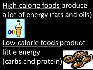 High-calorie foods produce
a lot of energy (fats and oils)


Low-calorie foods produce
little energy
(carbs and protein)
 