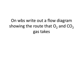 On wbs write out a flow diagram
showing the route that O2 and CO2
            gas takes
 