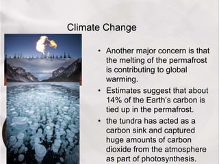 Climate Change
• Another major concern is that
the melting of the permafrost
is contributing to global
warming.
• Estimates suggest that about
14% of the Earth’s carbon is
tied up in the permafrost.
• the tundra has acted as a
carbon sink and captured
huge amounts of carbon
dioxide from the atmosphere
as part of photosynthesis.
 
