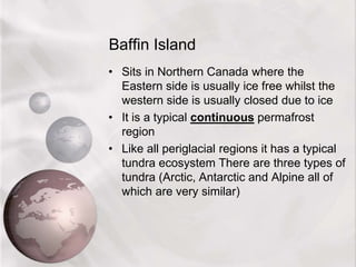 Baffin Island
• Sits in Northern Canada where the
Eastern side is usually ice free whilst the
western side is usually closed due to ice
• It is a typical continuous permafrost
region
• Like all periglacial regions it has a typical
tundra ecosystem There are three types of
tundra (Arctic, Antarctic and Alpine all of
which are very similar)
 