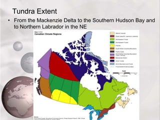 Tundra Extent
• From the Mackenzie Delta to the Southern Hudson Bay and
to Northern Labrador in the NE
 