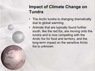 Impact of Climate Change on
Tundra
• The Arctic tundra is changing dramatically
due to global warming.
• Animals that are typically found further
south, like the red fox, are moving onto the
tundra and is now competing with the
Arctic fox for food and territory, and the
long-term impact on the sensitive Arctic
fox is unknown
 